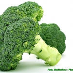 Brokuły - to warzywo...