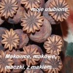 Makowce, makowe, maczki,...